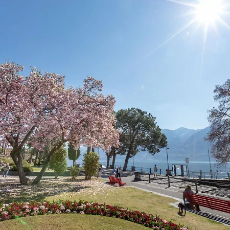 Large By Interhome Ascona